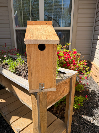 Bluebird House (wholesale)