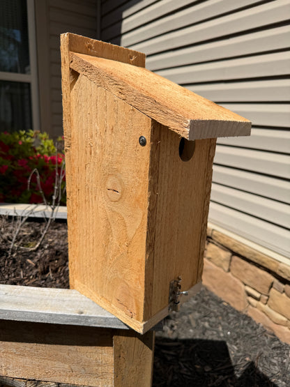 Bluebird House (wholesale)